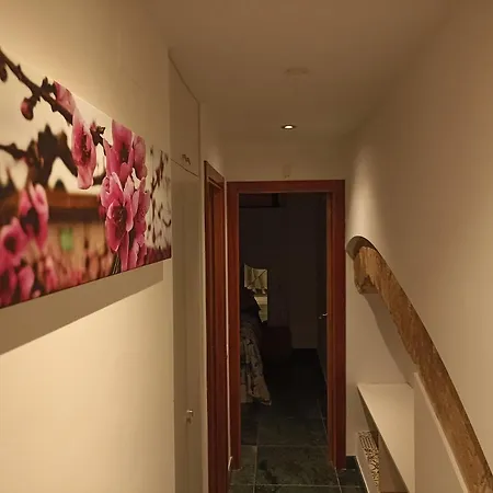 Apartamento Piso Encantador En El Centro De *
